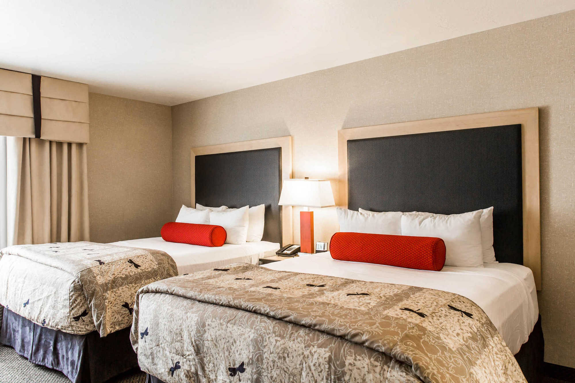 Springhill Suites By Marriott Roanoke Cameră foto