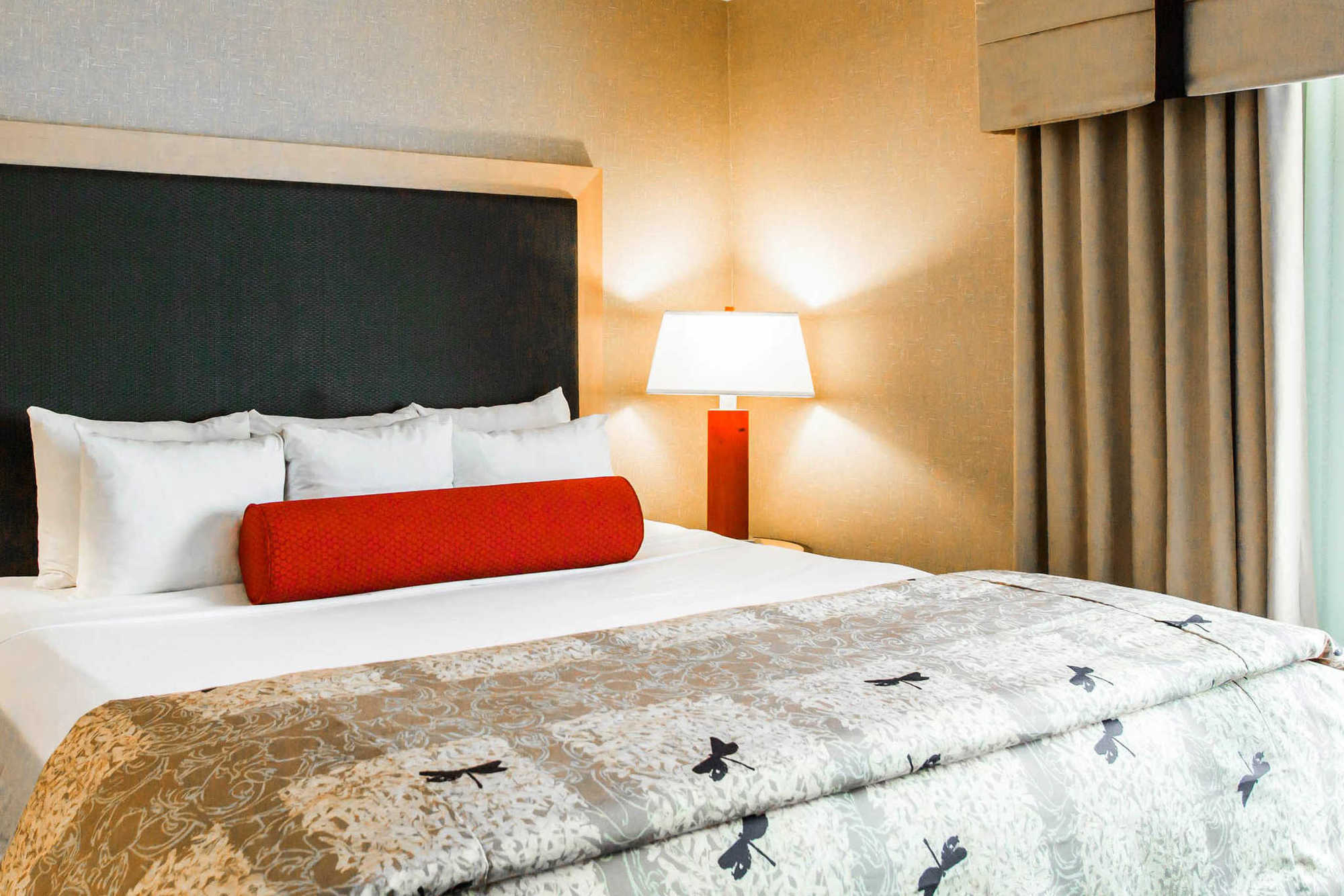Springhill Suites By Marriott Roanoke Cameră foto