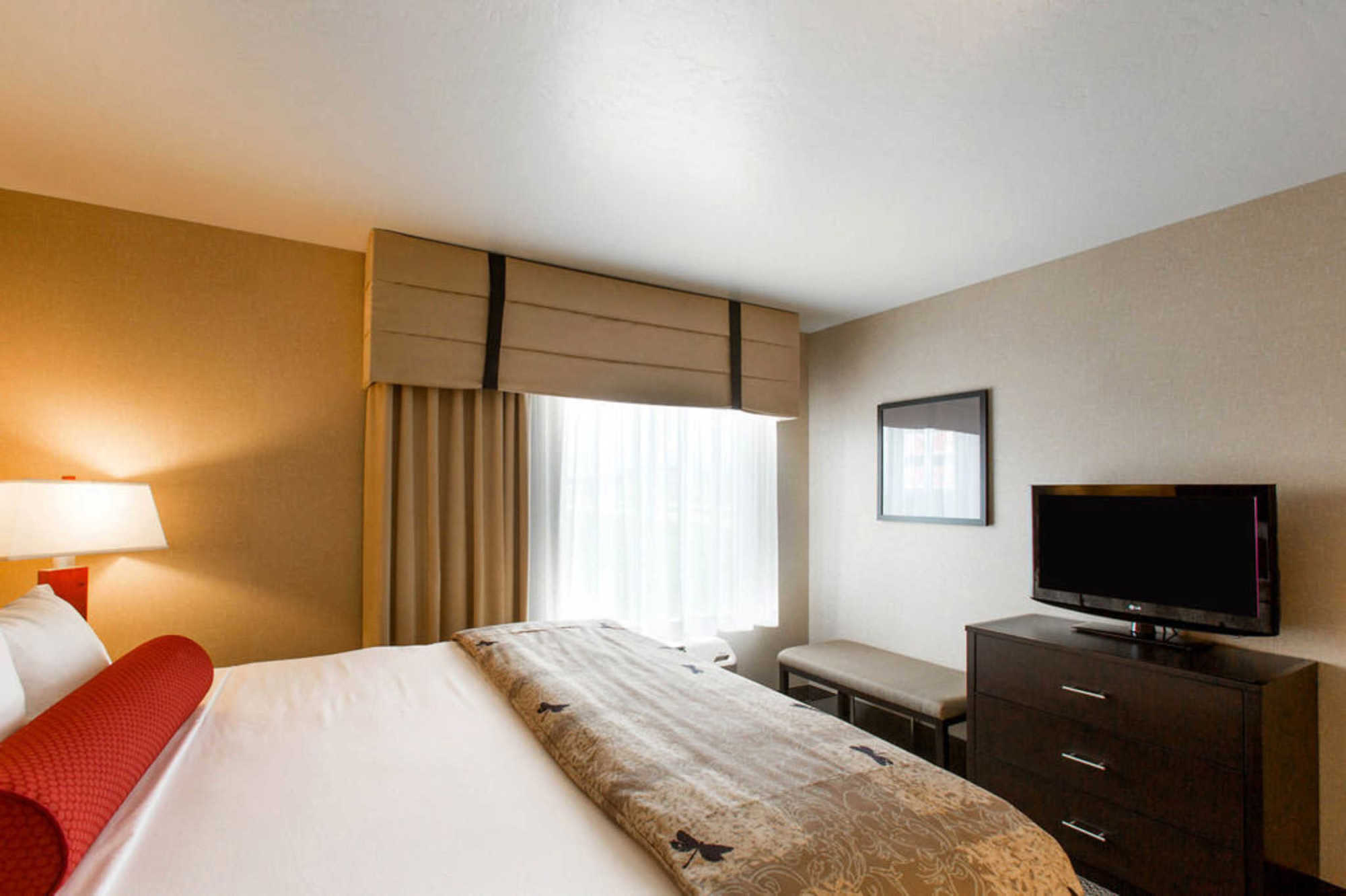 Springhill Suites By Marriott Roanoke Cameră foto