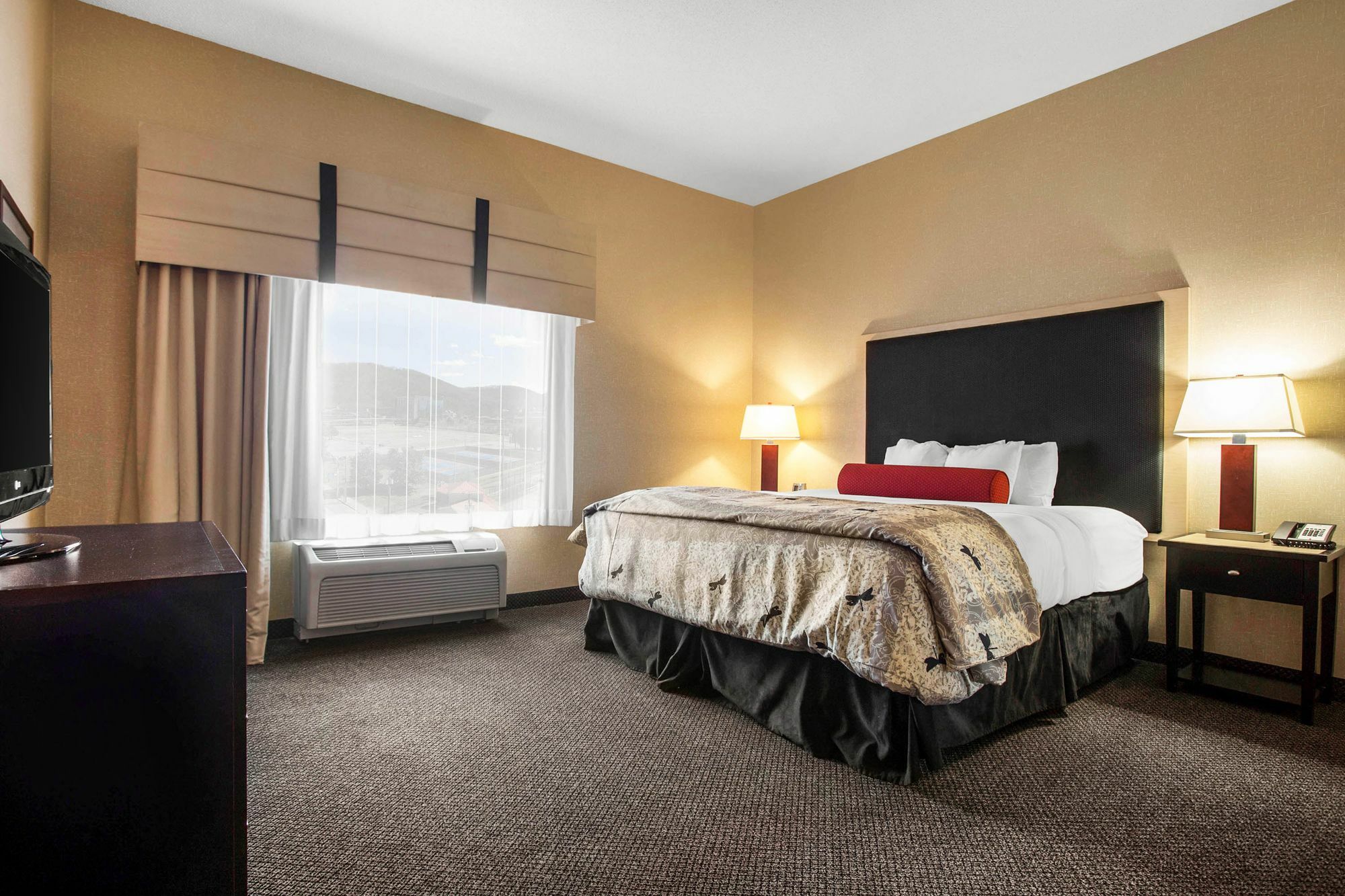 Springhill Suites By Marriott Roanoke Exterior foto