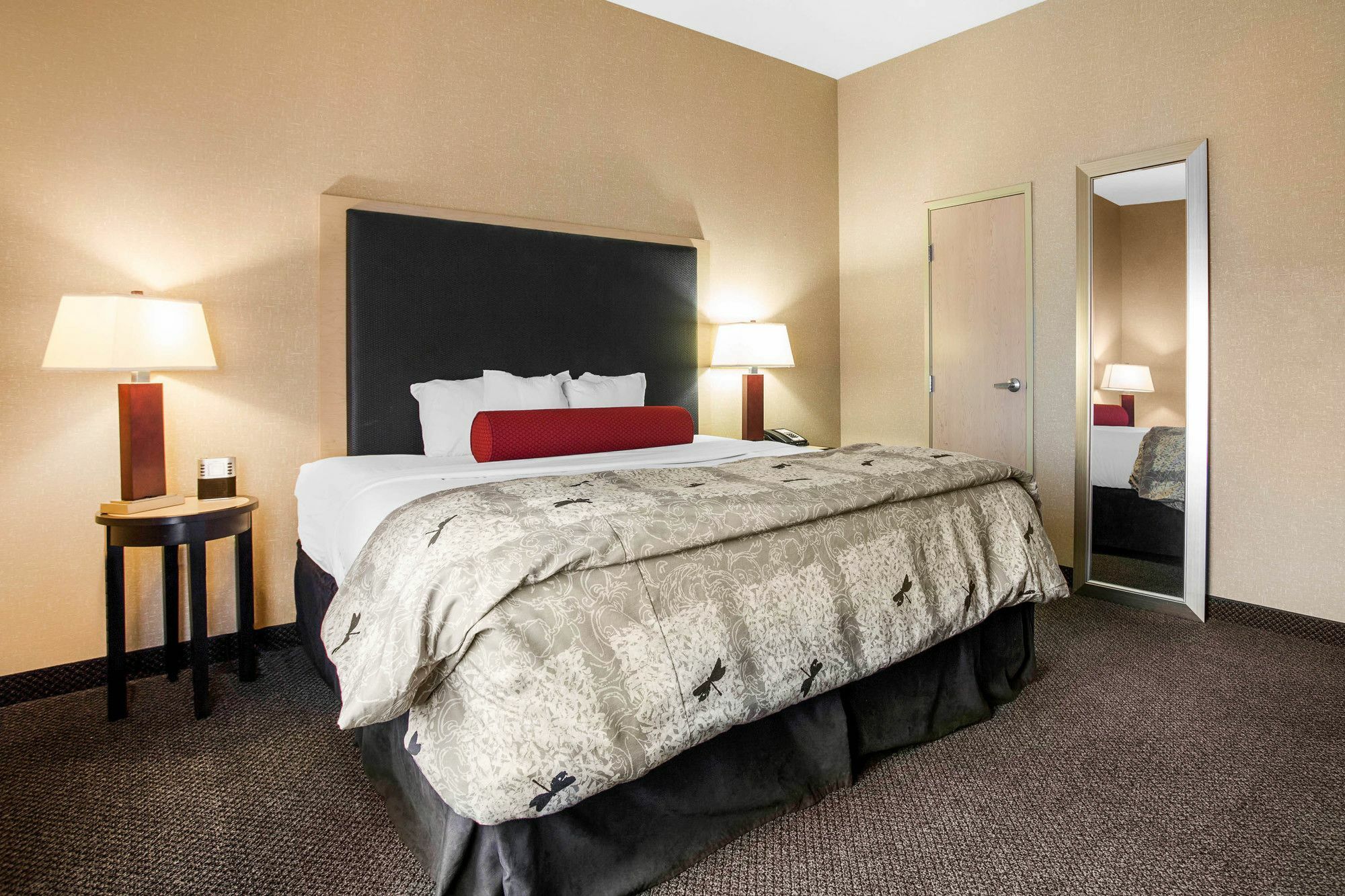 Springhill Suites By Marriott Roanoke Exterior foto